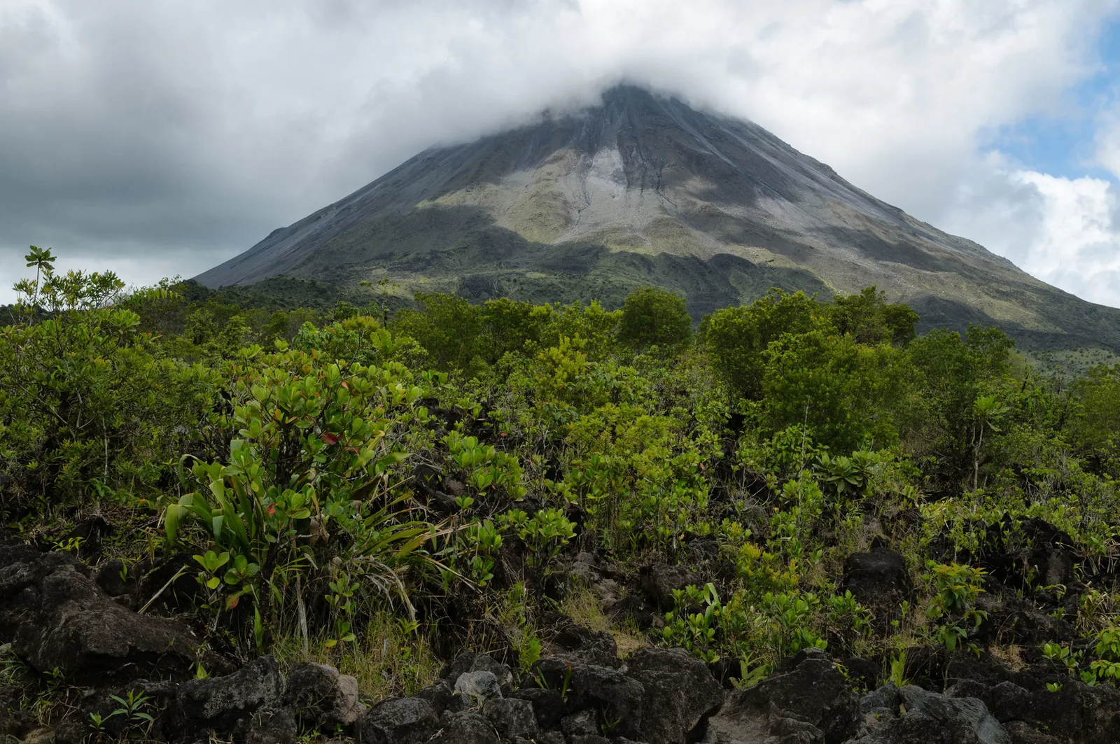 A forested volcanic mountain rises above Costa Rica's green lowlands.