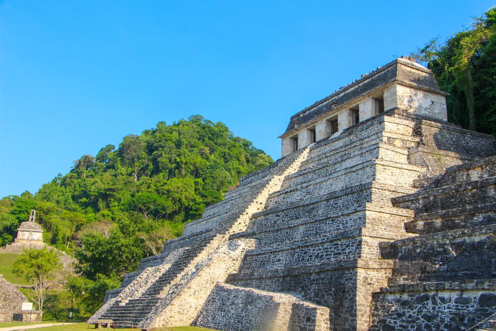 A Maya temple rises above the forest at Palenque.