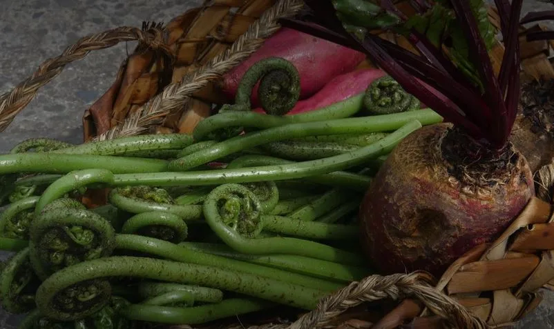 A woven basket filled with green leafy vegetables and shoots.