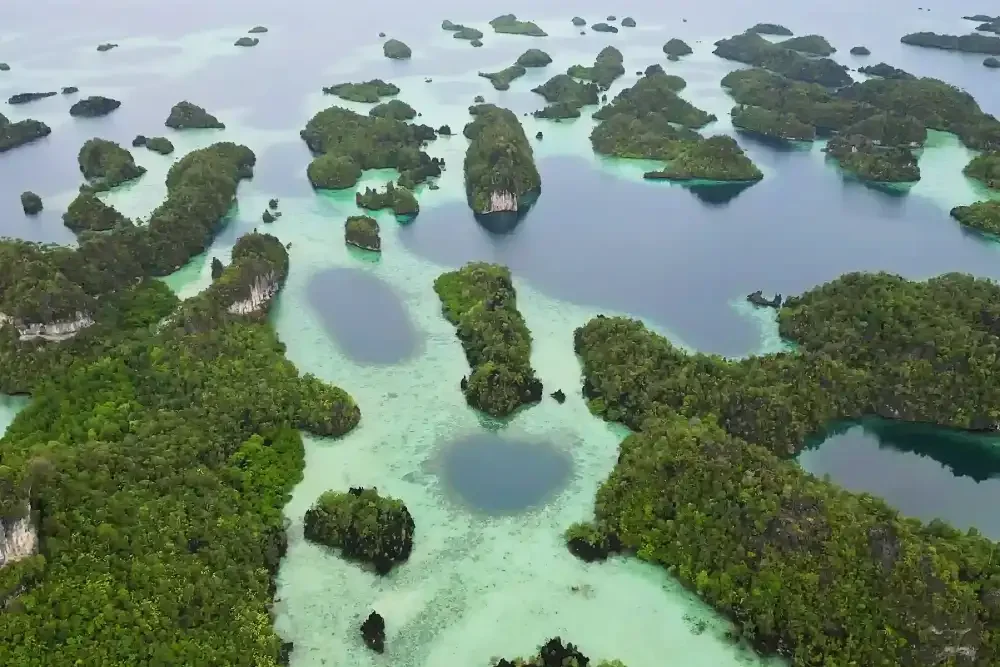 Aerial view of forested limestone islands surrounded by turquoise lagoons