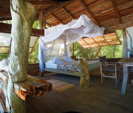 A rustic timber bedroom with a mosquito net and views of green foliage.