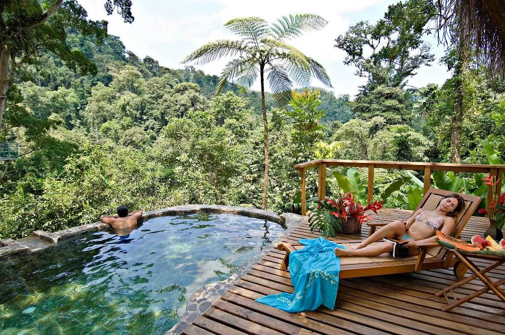 A guest relaxing beside an infinity pool surrounded by rainforest.