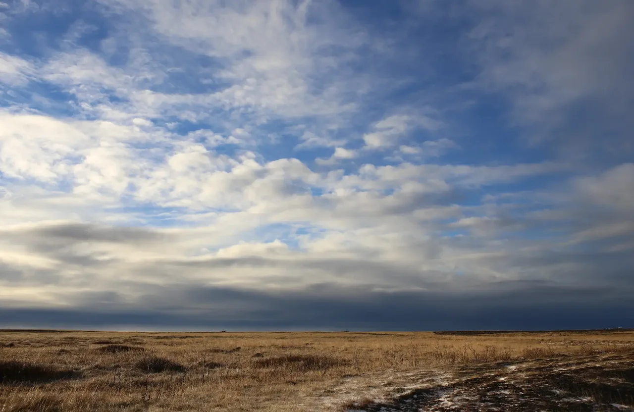 Open grassland beneath a wide sky filled with textured clouds.