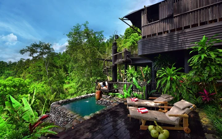 A timber villa and swimming pool surrounded by lush tropical vegetation.