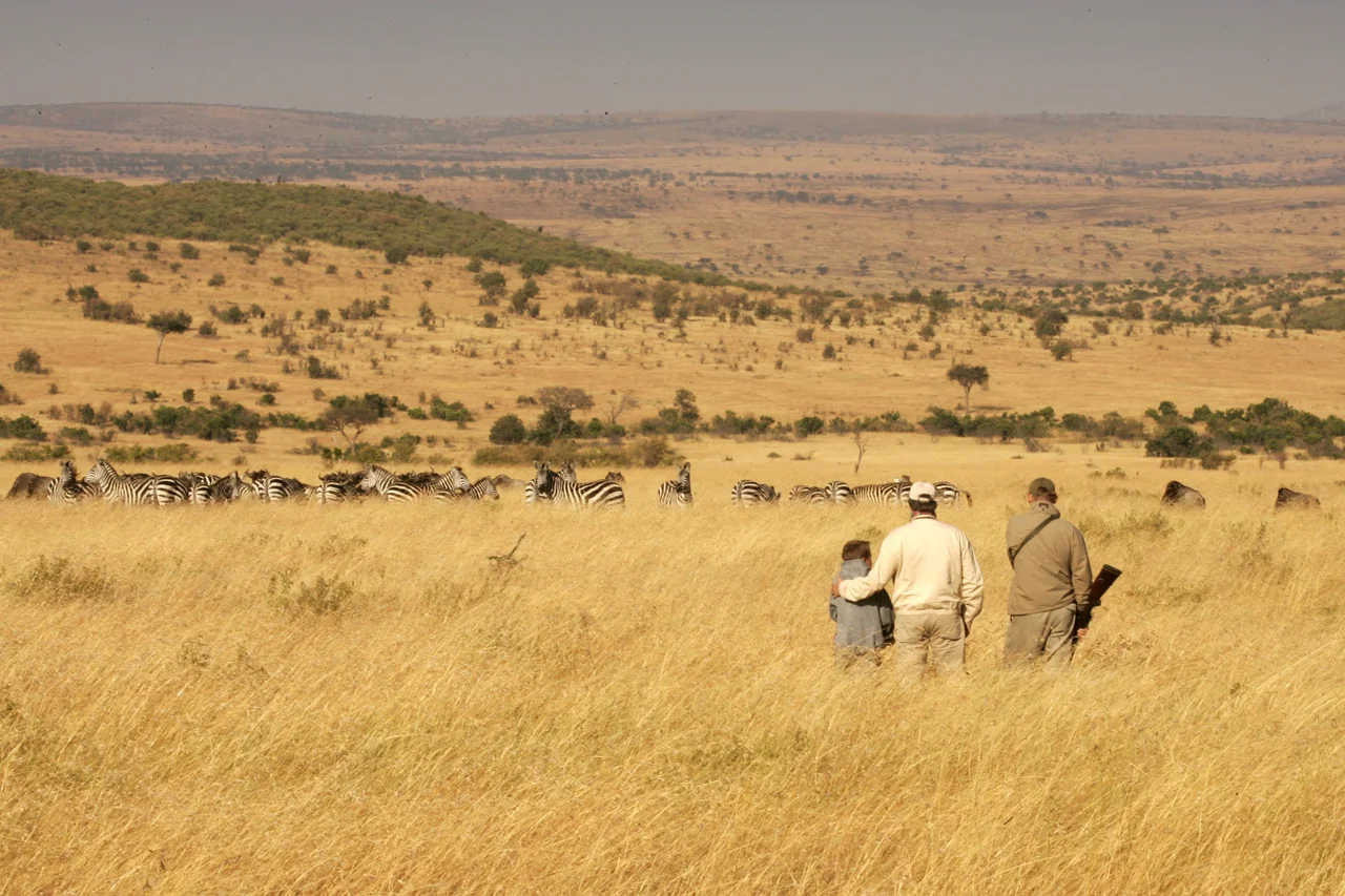 People walking through golden grass on an open savannah.