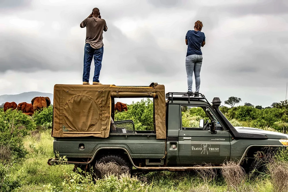 Two people looking out from the roof of a safari vehicle.