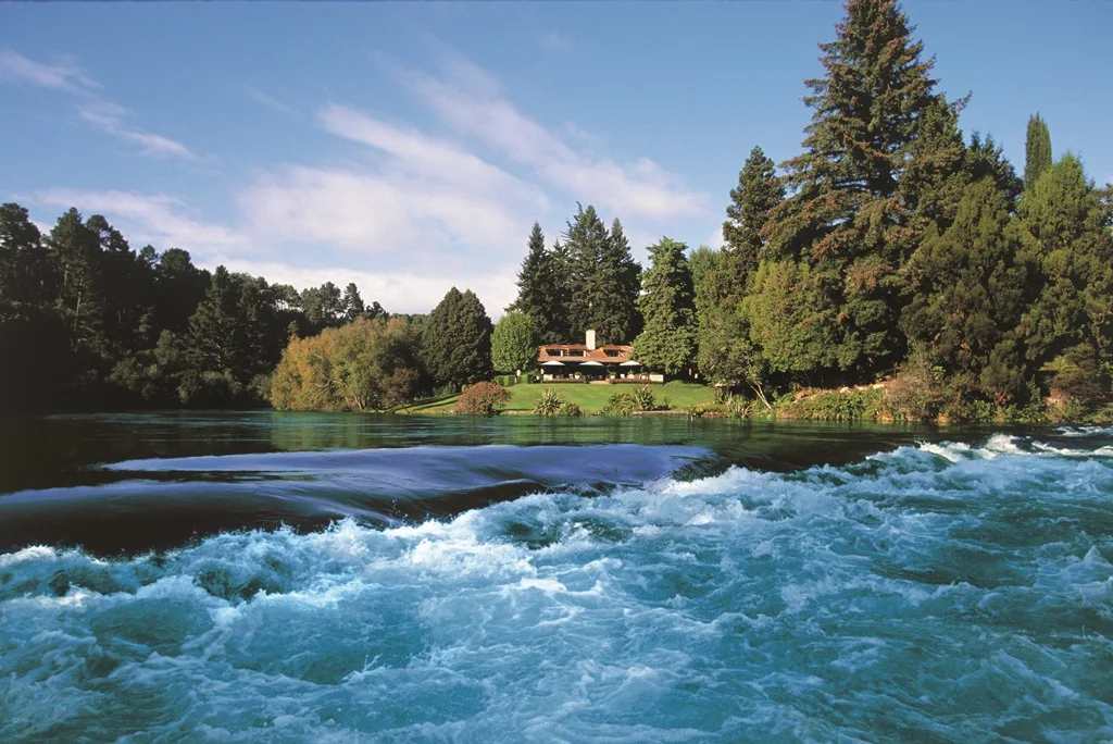 A tree-lined river with turquoise water flowing over rapids.