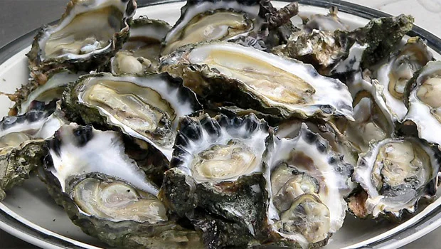 Freshly opened oysters arranged on a bed of ice.