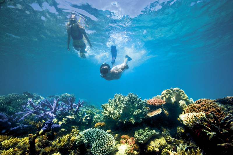 Two snorkelers float above a colorful coral reef in clear tropical water.